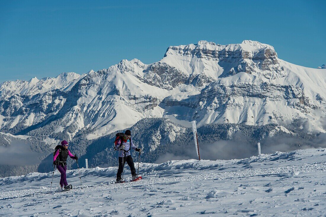 Frankreich, Haute Savoie, massive Bauges, oberhalb von Annecy Grenze mit der Savoie, das Semnoz Plateau außergewöhnlichen Aussichtspunkt auf die nördlichen Alpen, Fußgängerwege und der Tournette Berg