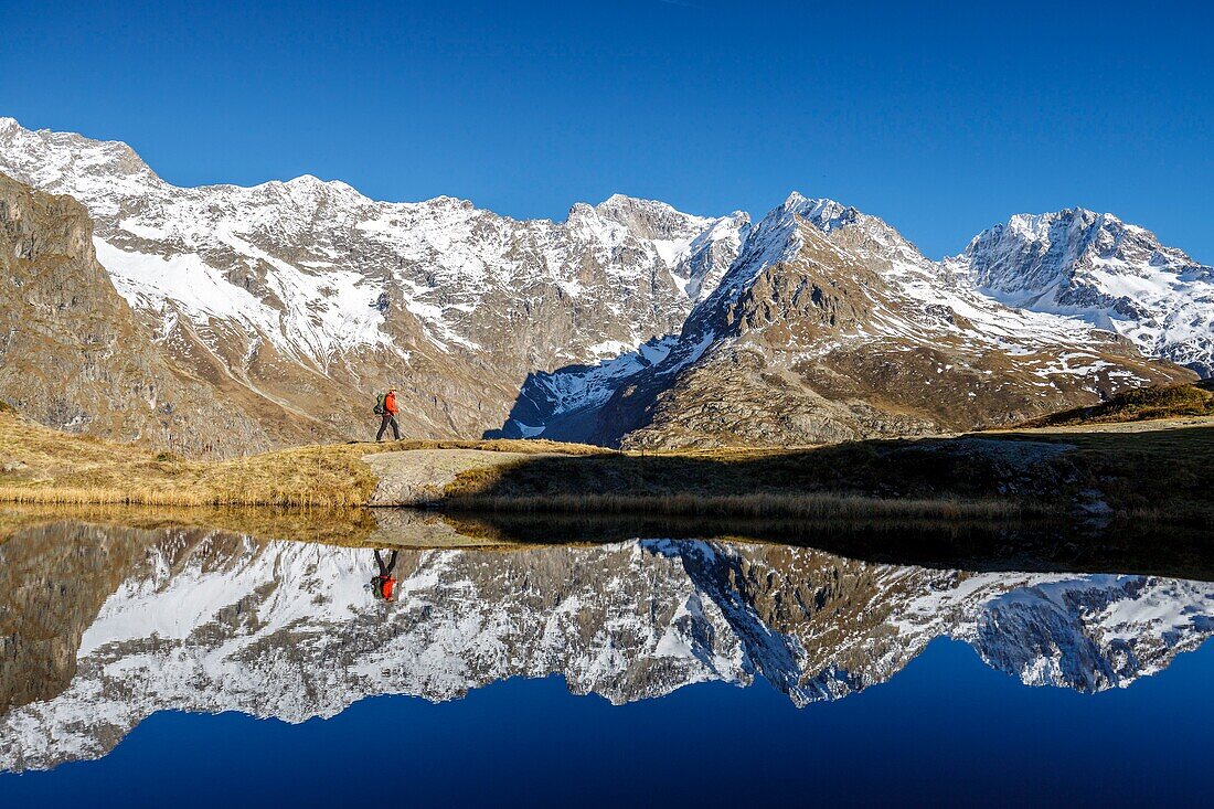 France, Hautes Alpes, Ecrins National Park, valley of Valgaudemar, La Chapelle en Valgaudémar, reflection of the Bans (3669m) and on the right the peak Jocelme (3458m) on the lake Lauzon (2008m)