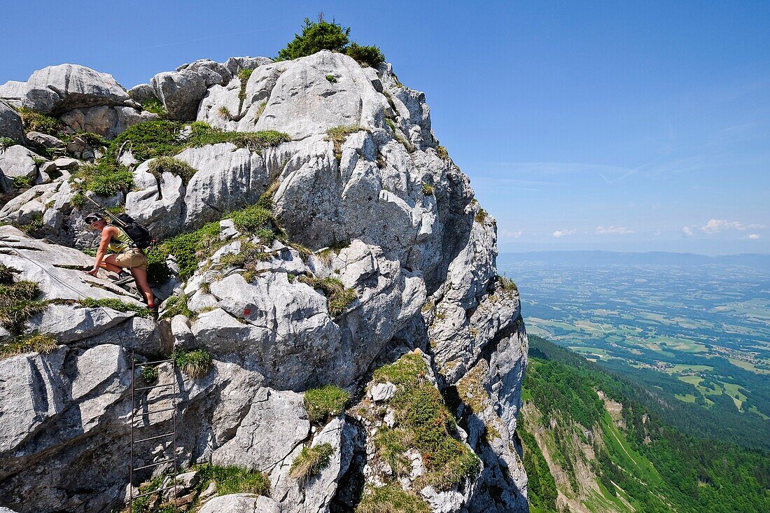 France, Haute Savoie, Thorens-Glières, view on the Foron plain from the Sous-Dine ridge