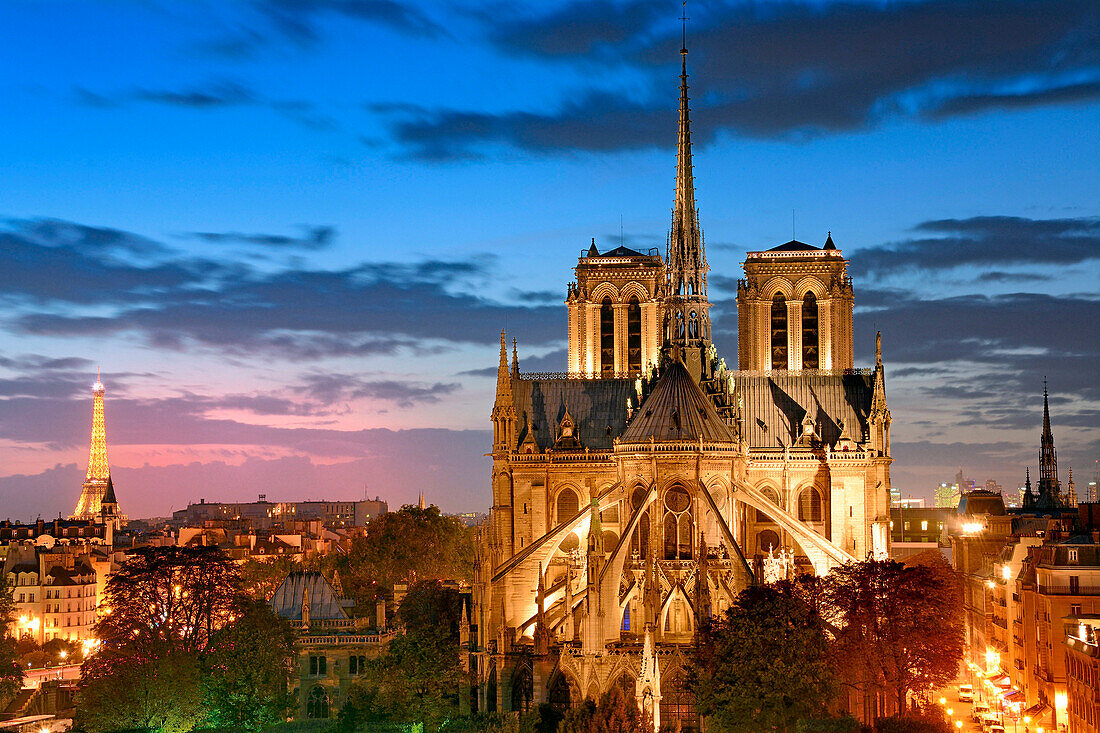 France, Paris, Notre Dame de Paris Cathedral and Eiffel Tower illuminated. SETE illuminations Pierre Bideau