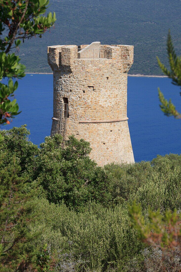 Frankreich, Corse du Sud, Serra di Ferro, Genueser Turm von Capannella in Porto Pollo