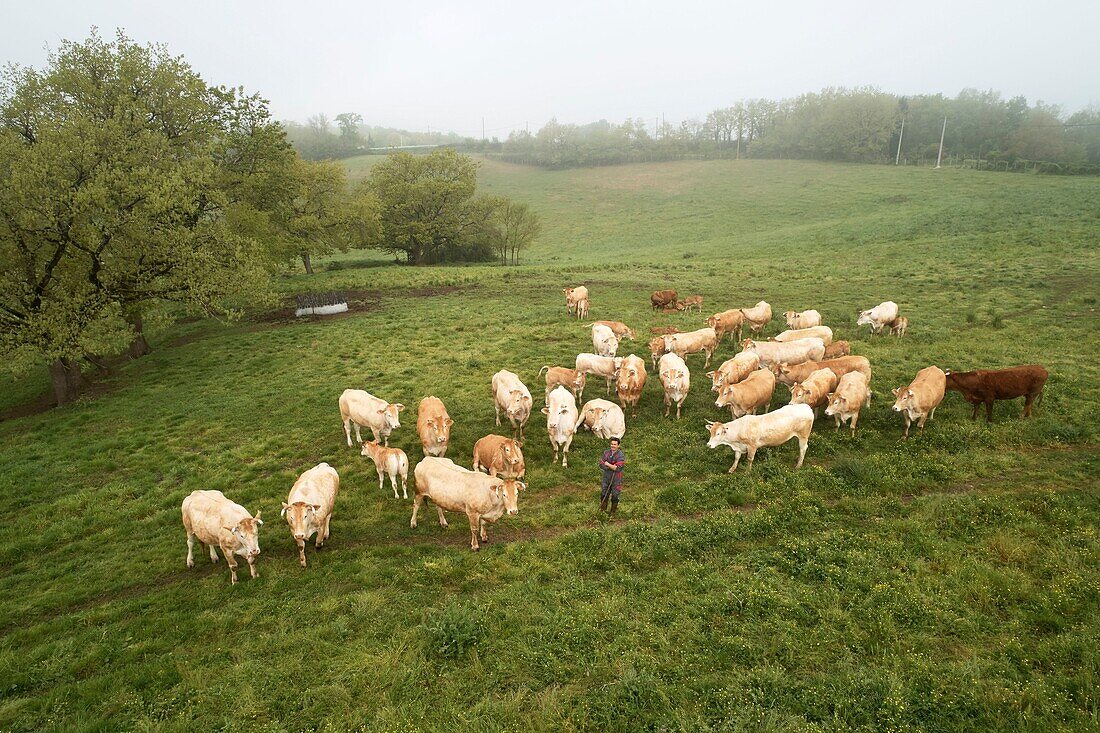 Frankreich, Tarn, Montdurausse, Les Viarnels, Damien Blanc, Züchter von Limousin-Kühen, Luftaufnahme