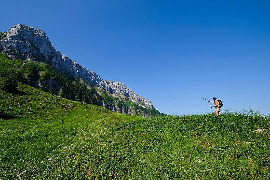 France, Haute Savoie, Thorens-Glières, walking up to the Balme chalet