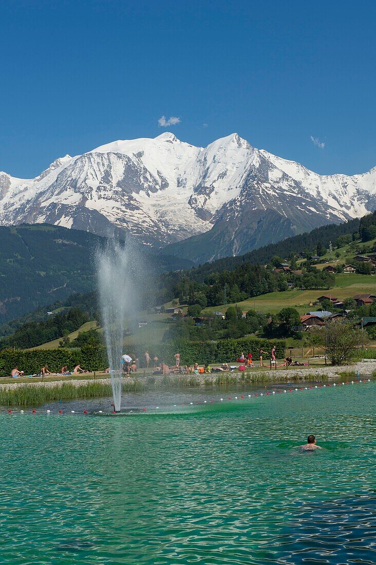 France, Haute Savoie, Mont Blanc, Combloux, the ecological water body and the Mont Blanc massif