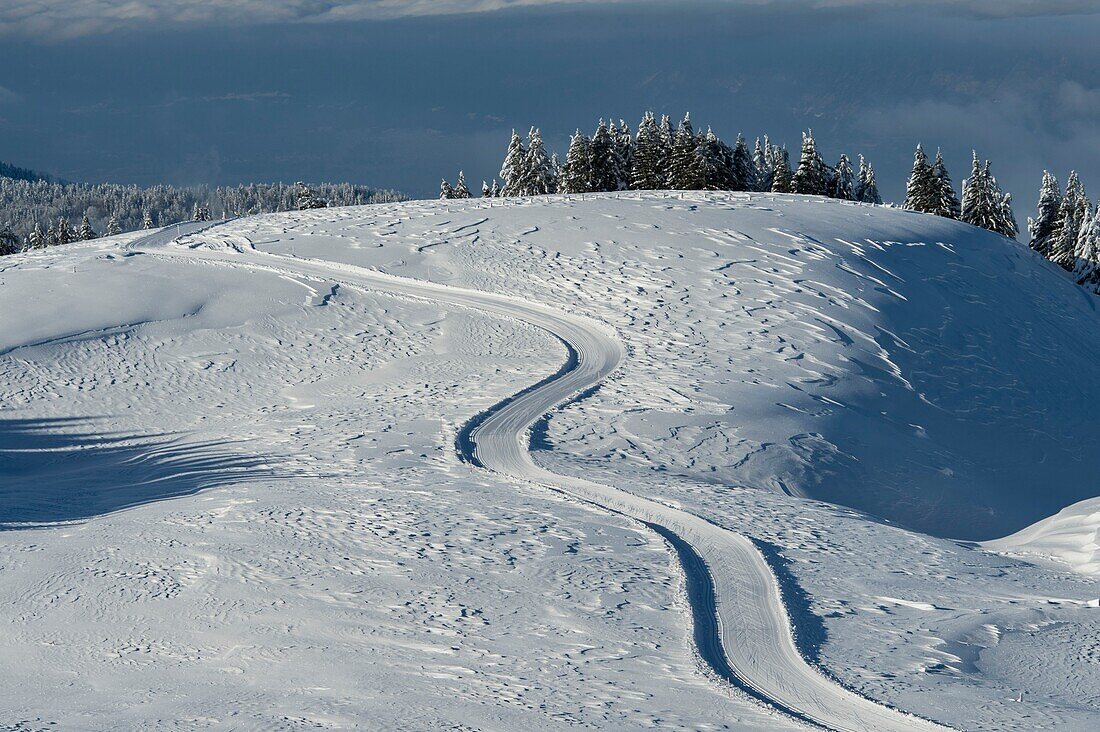 France, Haute Savoie, massive Bauges, above Annecy limit with the Savoie, the Semnoz plateau exceptional belvedere on the Northern Alps, cross country skiing trails south of the plateau