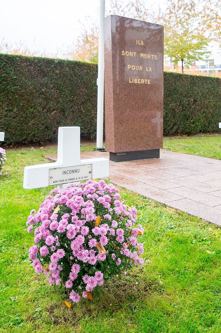 France, Hauts de Seine, Puteaux, the New Cemetery, graves and chrysanthemums