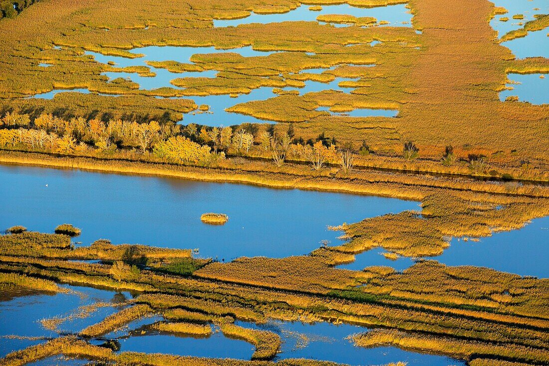 France, Bouches du Rhone, Camargue Regional Nature Park, Arles, Meyranne Marsh (aerial view)