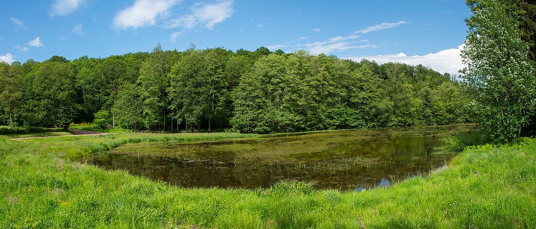 Frankreich, Haute Saone, Melisey, les milles etangs, Panoramablick auf den Teich von Marceline in der Gemeinde des Mer