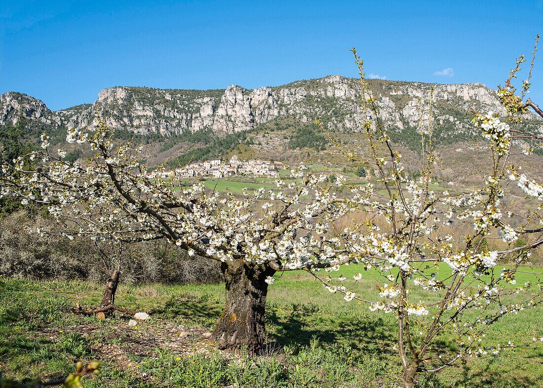 Frankreich, Aveyron, Parc Naturel Regional des Grands Causses (Regionaler Naturpark der Grands Causses)