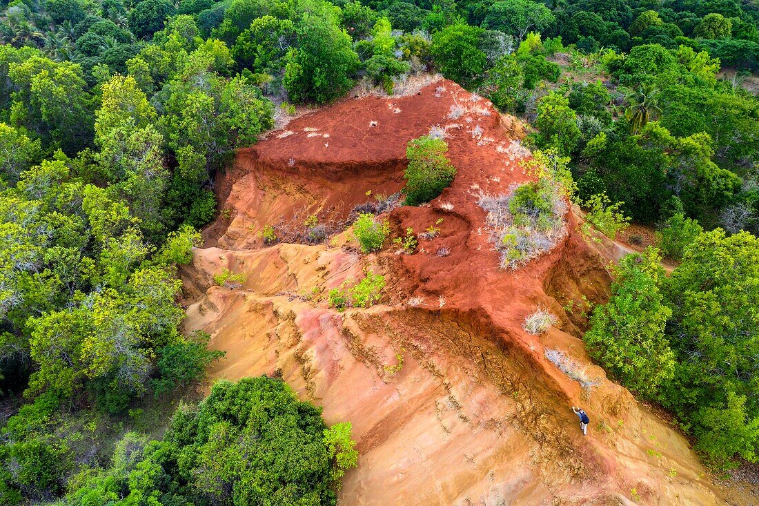 France, Mayotte island (French overseas department), Grande Terre, Mbouini, the Padzas (deforested areas and gullied with reddish soils) of Dapani (aerial view)