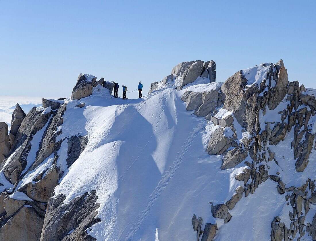 Frankreich, Haute Savoie, Chamonix Mont Blanc, Alpinisten auf dem Grat der Aiguille du Midi (3848m), Mont-Blanc-Kette, Abstieg vom Vallee Blanche