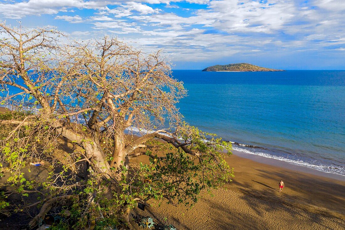 Frankreich, Insel Mayotte (französisches Überseedepartement), Grande Terre, Nyambadao, Affenbrotbaum neben dem Strand von Sakouli und die Insel Bandrele im Hintergrund (Luftaufnahme)