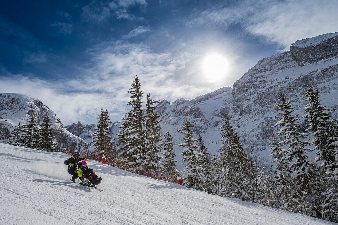 France, Savoie, Massif de la Vanoise, National Park, Pralognan La Vanoise, practice of handiskiing in tandem skiing with an instructor