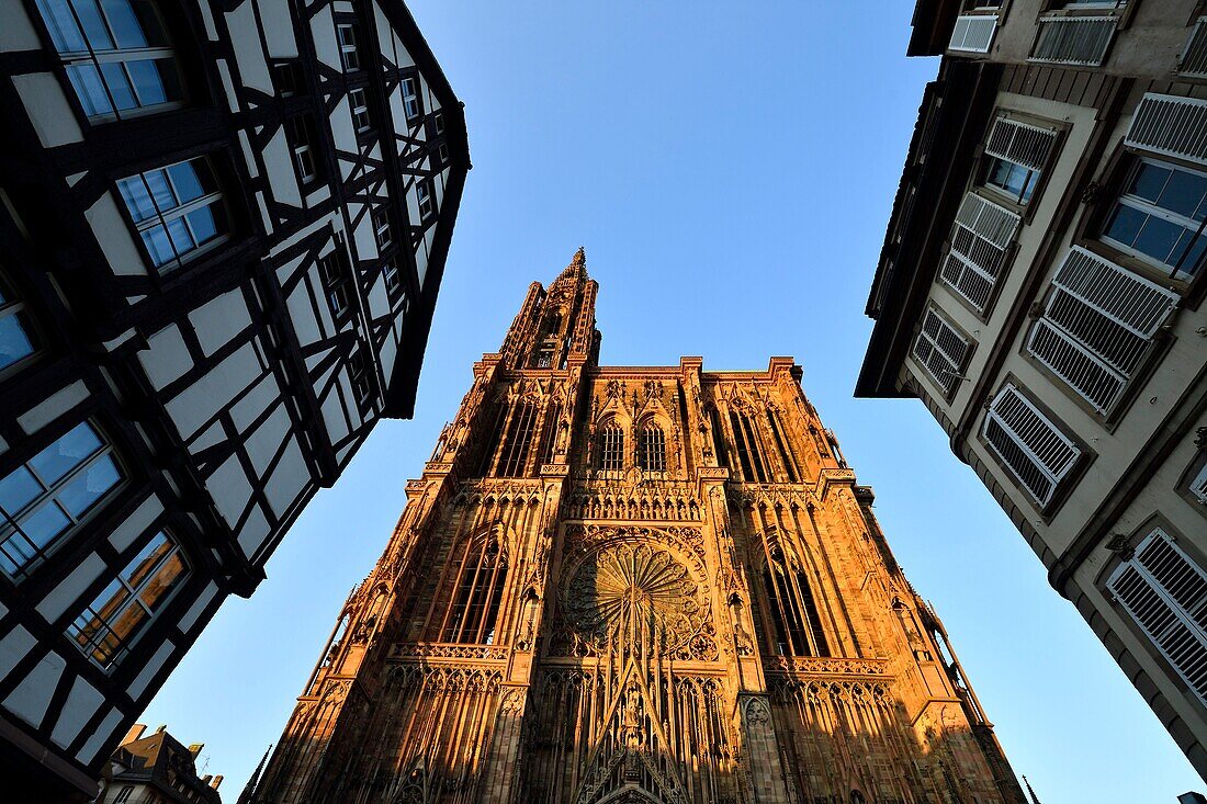 Frankreich, Bas Rhin, Straßburg, Altstadt, die zum Weltkulturerbe der UNESCO gehört, Kathedrale Notre Dame