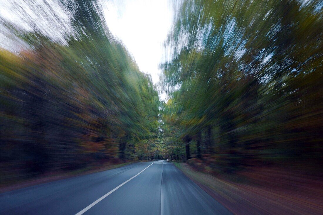 France, Sologne, Country road driving,