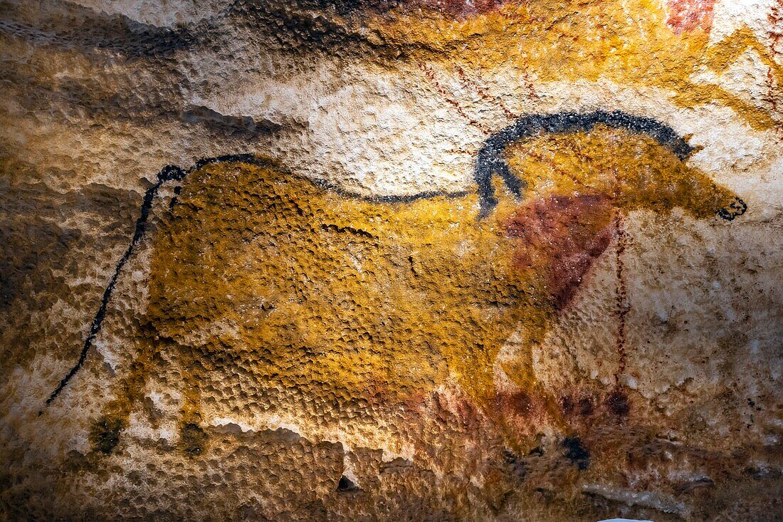 Frankreich, Dordogne, Schwarzes Perigord, Vezere-Tal, prähistorische Stätte und verzierte Höhle, von der UNESCO als Weltkulturerbe eingestuft, Montignac-sur-Vezere, Höhle von Lascaux IV, Internationales Zentrum für Parietalkunst, Faksimile-Ausstellungsraum