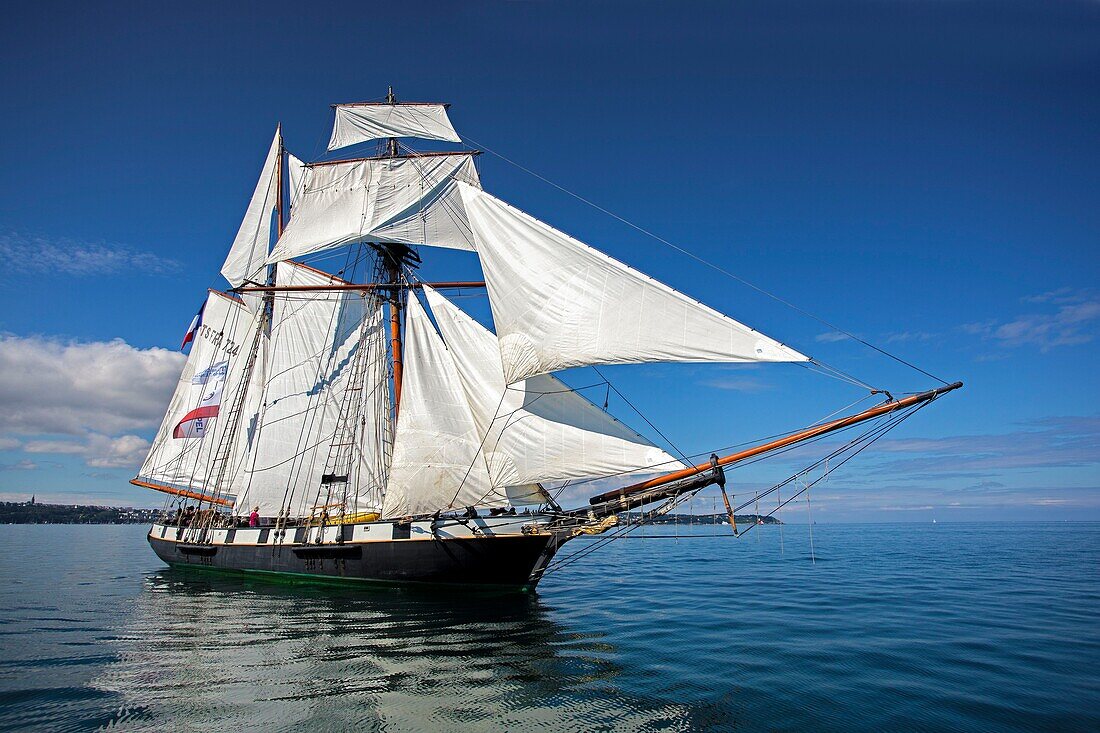 France, Finistere, Douarnenez, Festival Maritime Temps Fête, La Recouvrance, traditional sailboat on the port of Rosmeur