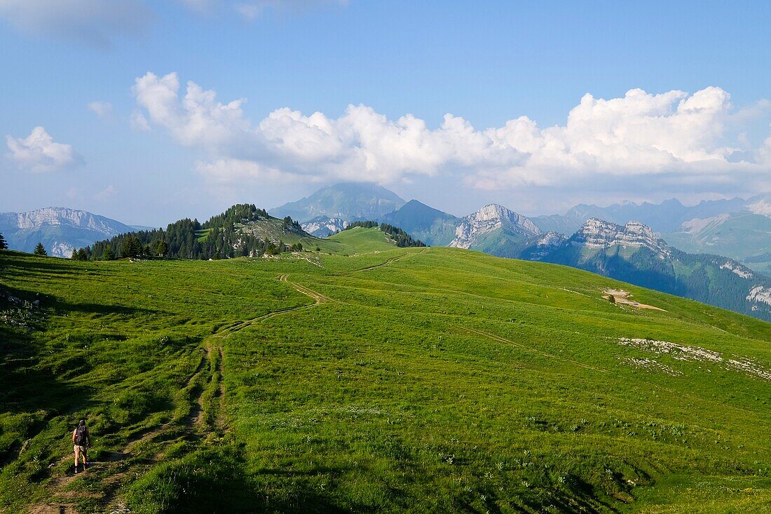 France, Haute Savoie, Entremont, hiker on the Auges mountain