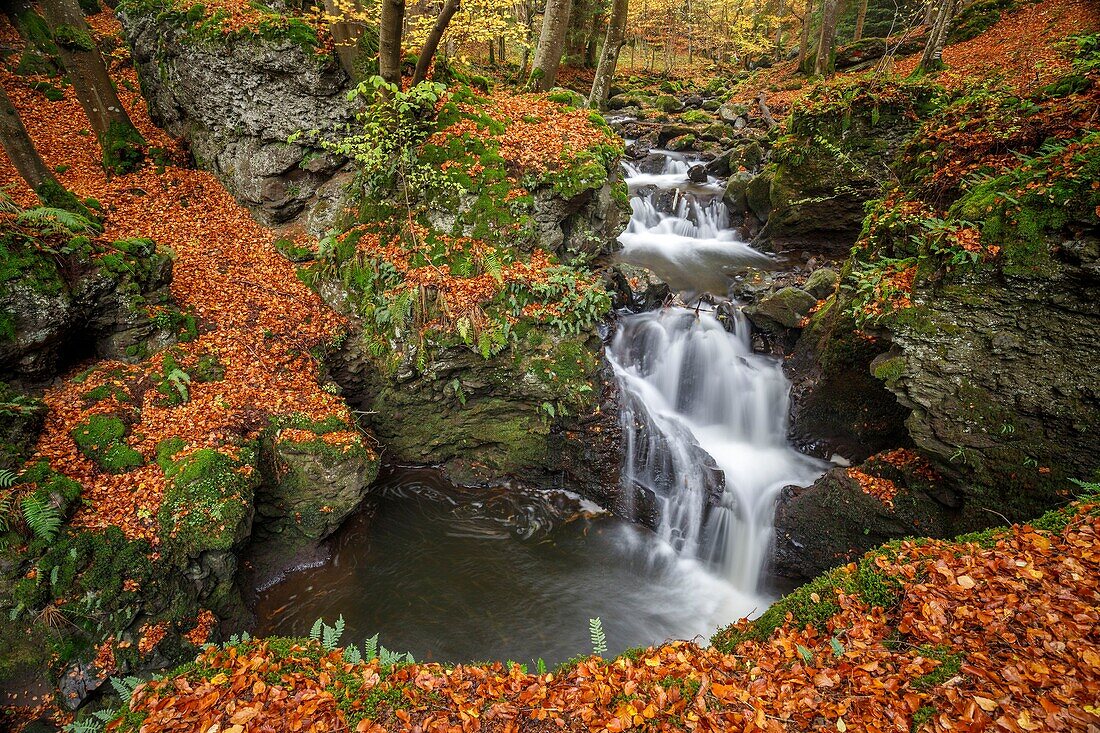 France, Puy de Dome, regional natural park of Auvergne volcanoes, Besse en Chandesse, Chiloza waterfall on Couze Pavin