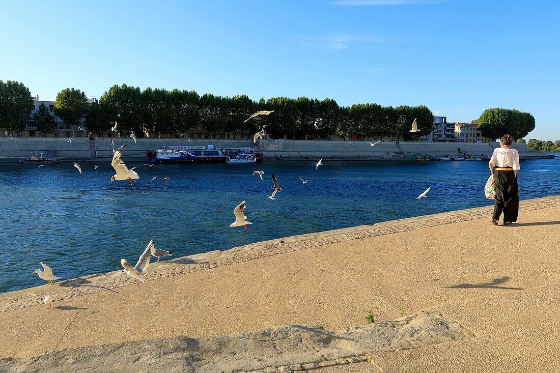 France, Bouches du Rhone, Arles, dock Max Dormoy, The Rhone