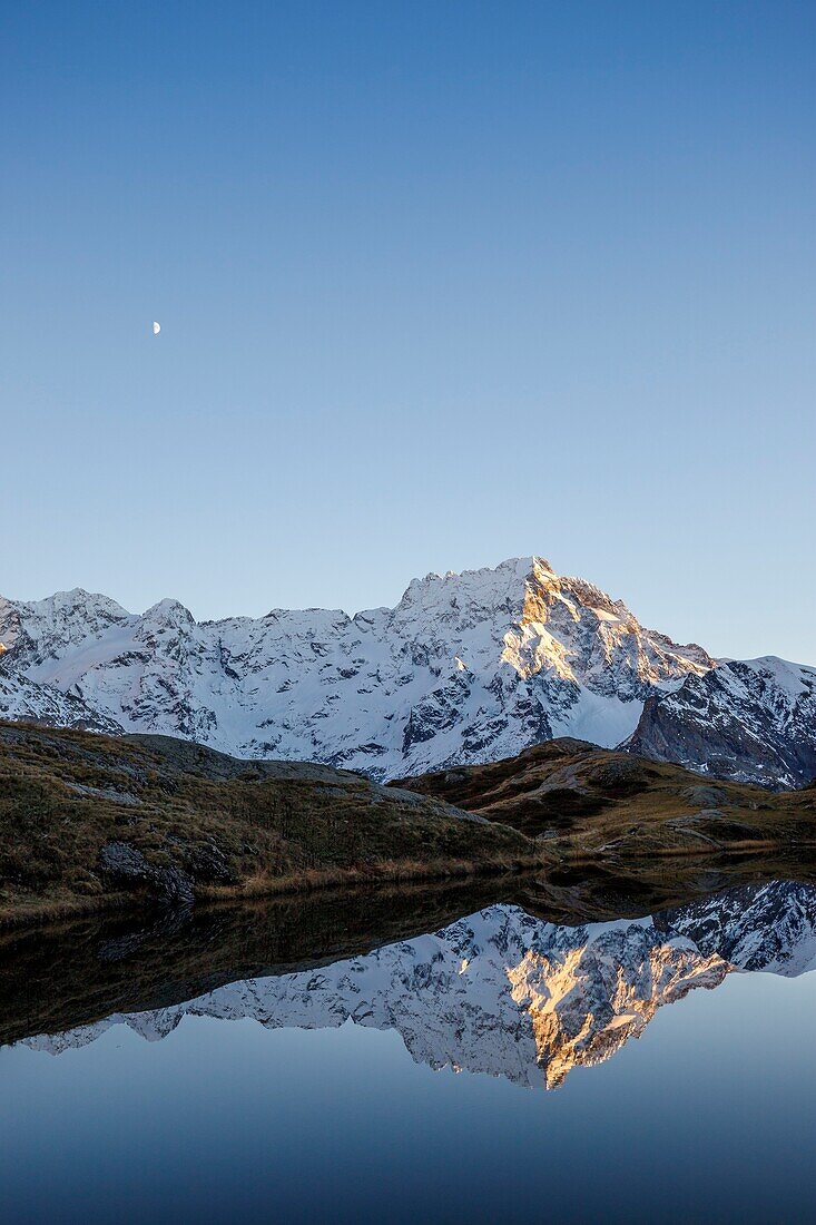 France, Hautes Alpes, national park of Ecrins, valley of Valgaudemar, La Chapelle en Valgaudémar, reflection of Sirac (3441m) on the lake of Lauzon (2008m)