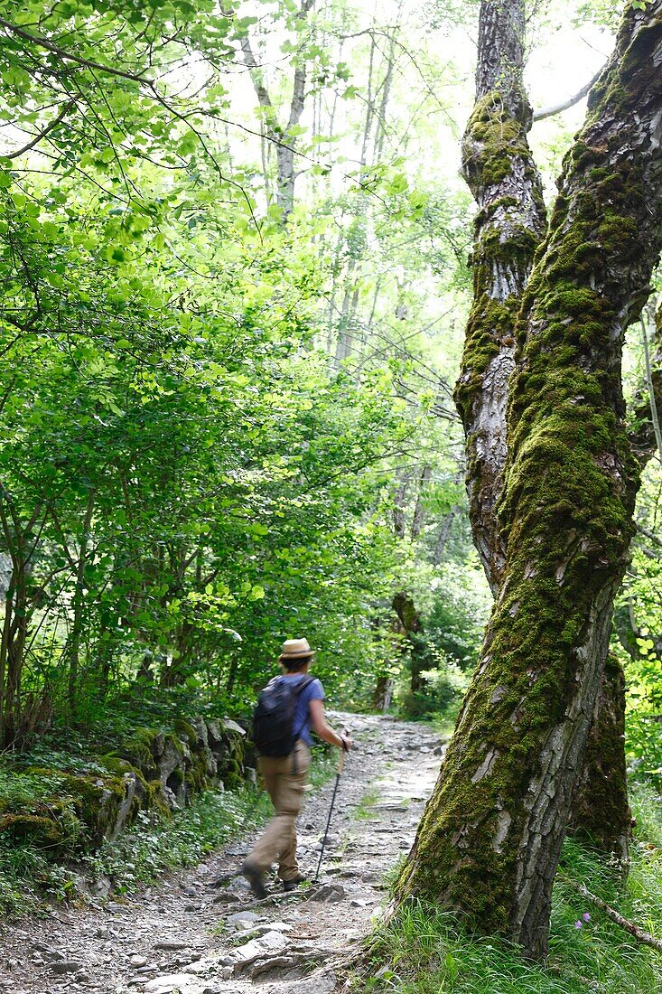 Frankreich, Isere, Lavaldens, Wanderin auf dem Weg zum Rif bruyant See