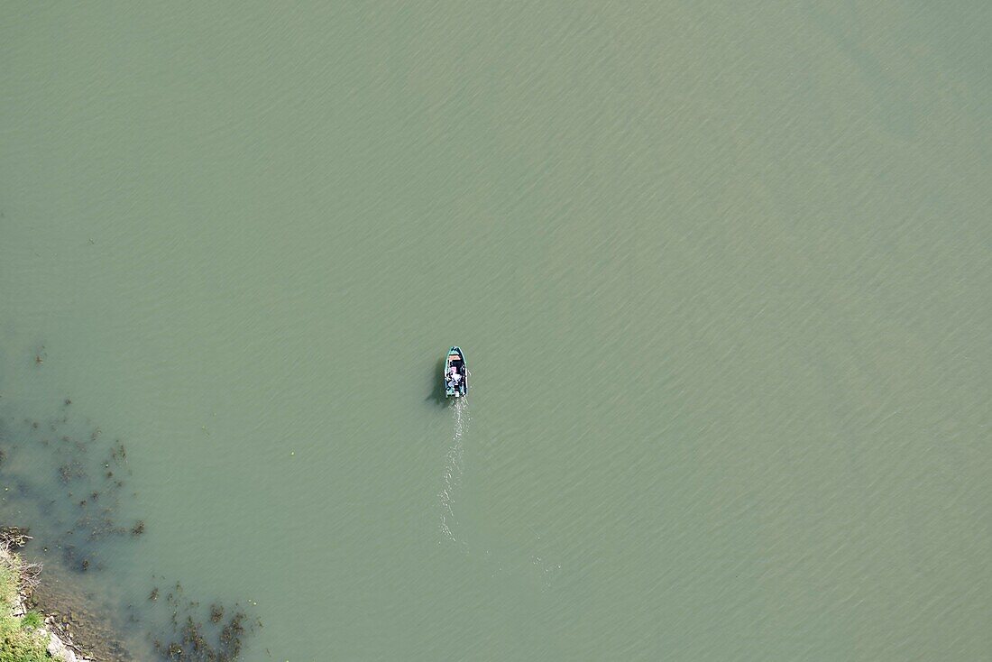 France, Saone et Loire, Tournus, boat on the Saone river (aerial view)