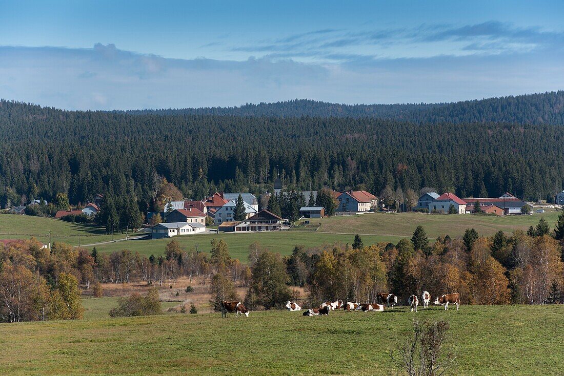 Frankreich, Jura, das Dorf Bellefontaine