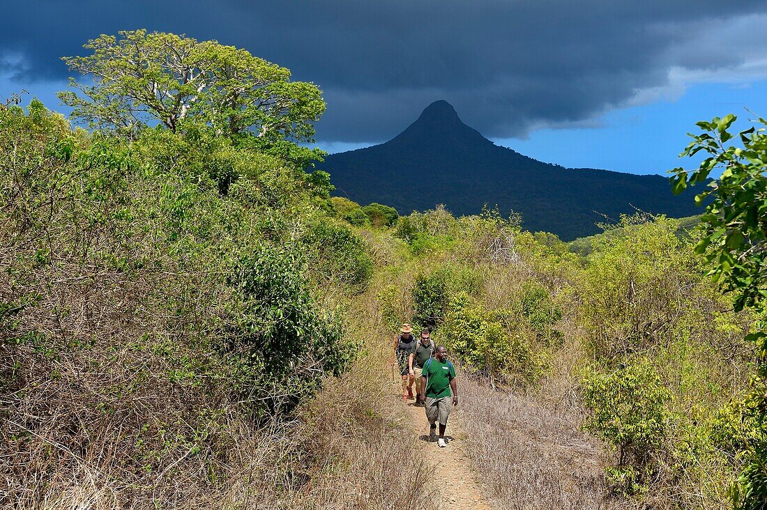 Frankreich, Insel Mayotte (französisches Überseedepartement), Grande Terre, M'Tsamoudou, Landzunge Saziley, Wanderer auf dem Fernwanderweg rund um die Insel und der Berg Choungui im Hintergrund