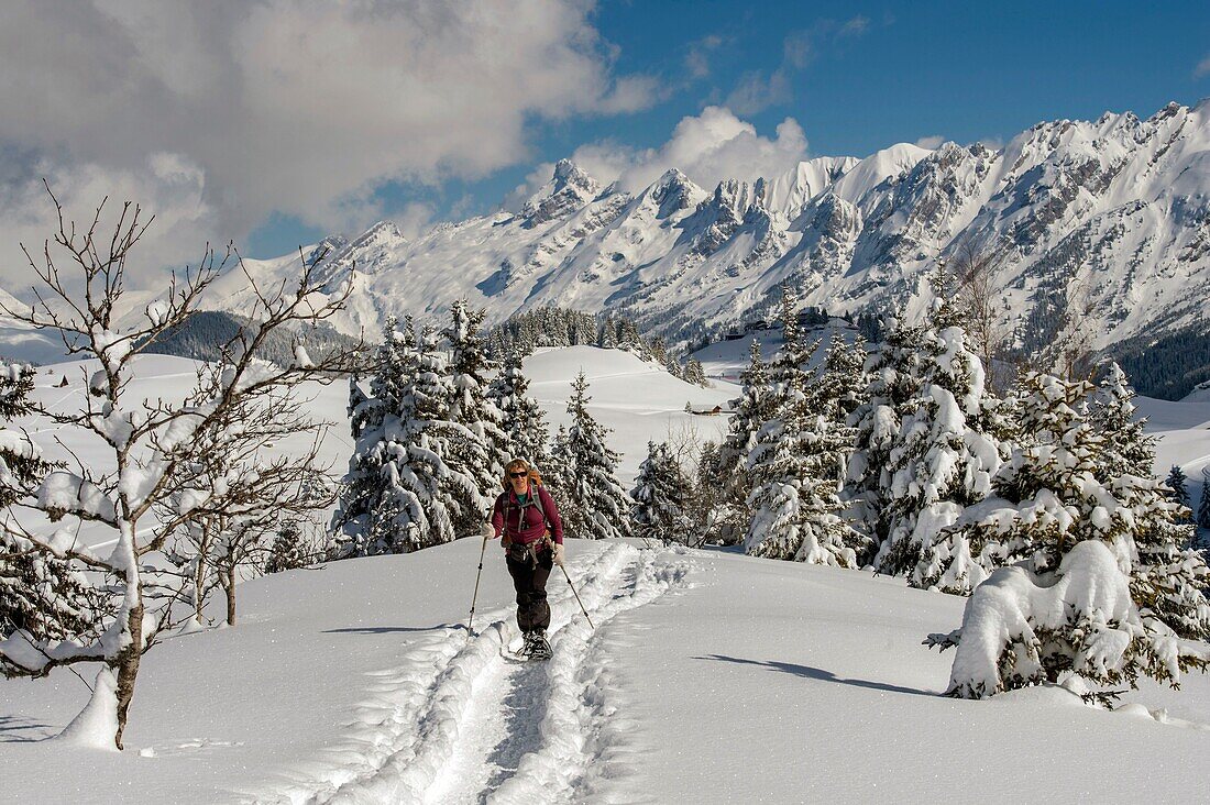 France, Haute Savoie, massif of Aravis, gone hiking in racket on the tray of Beauregard over the resorts of Manigod and Clusaz, on the tray towards the chapel of Lachat