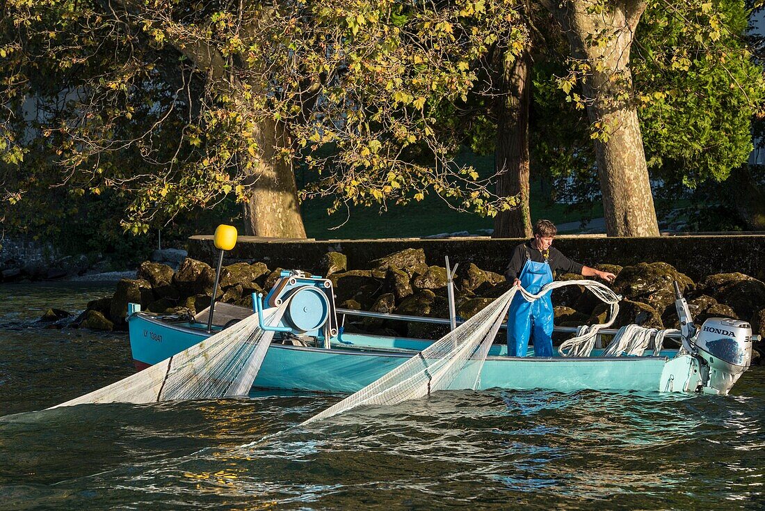 Frankreich, Haute Savoie, Evian les Bains, ein Berufsfischer in einem Boot, nimmt die Netze von feras in der Nähe des Ufers des Leman-Sees