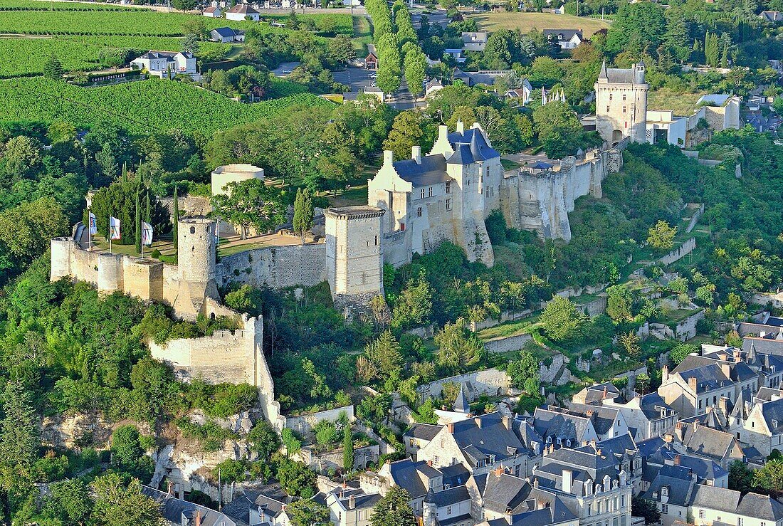 France, Indre et Loire, Loire Valley listed as World Heritage by UNESCO, Chinon (aerial view)