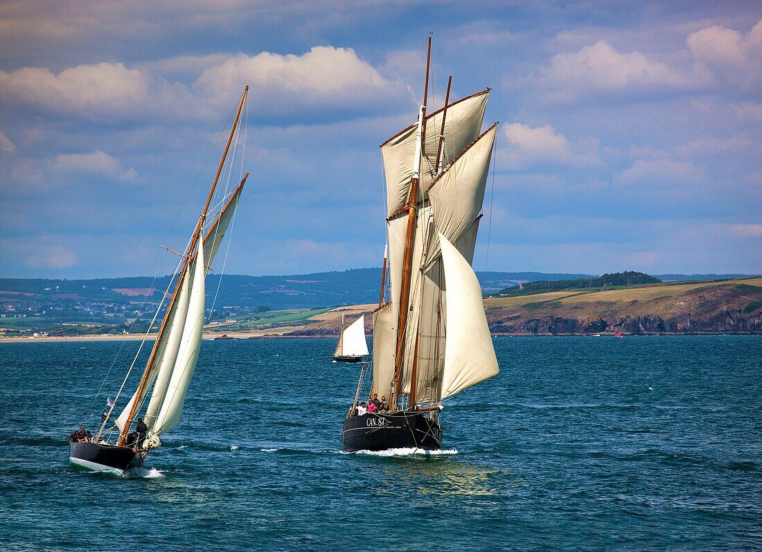 France, Finistere, Douarnenez, Festival Maritime Temps Fête, Pen Duick and La Cancalaise, traditional sailboats on the port of Rosmeur