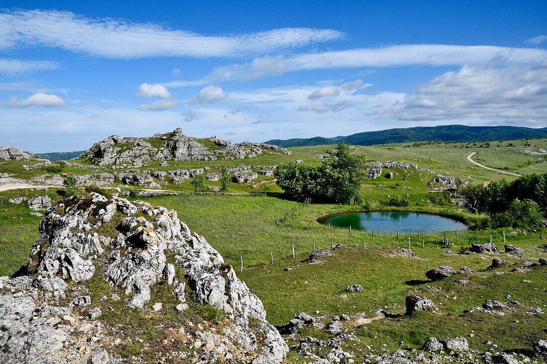 Frankreich, Lozere, Causse Mejean, Fraissinet de Fourques, Chaos von Nimes le Vieux, Lavogne