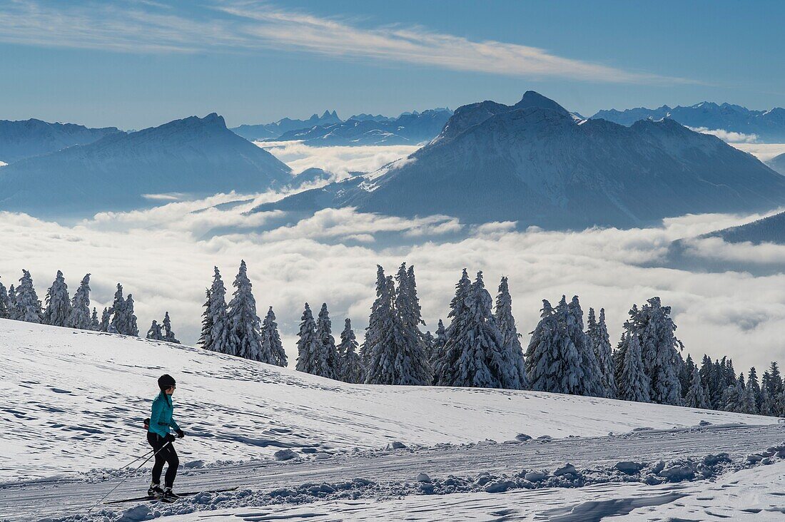 France, Haute Savoie, massive Bauges, above Annecy in border with the Savoie, the Semnoz plateau exceptional belvedere on the Northern Alps, cross country ski trails south of the plateau and sea of clouds