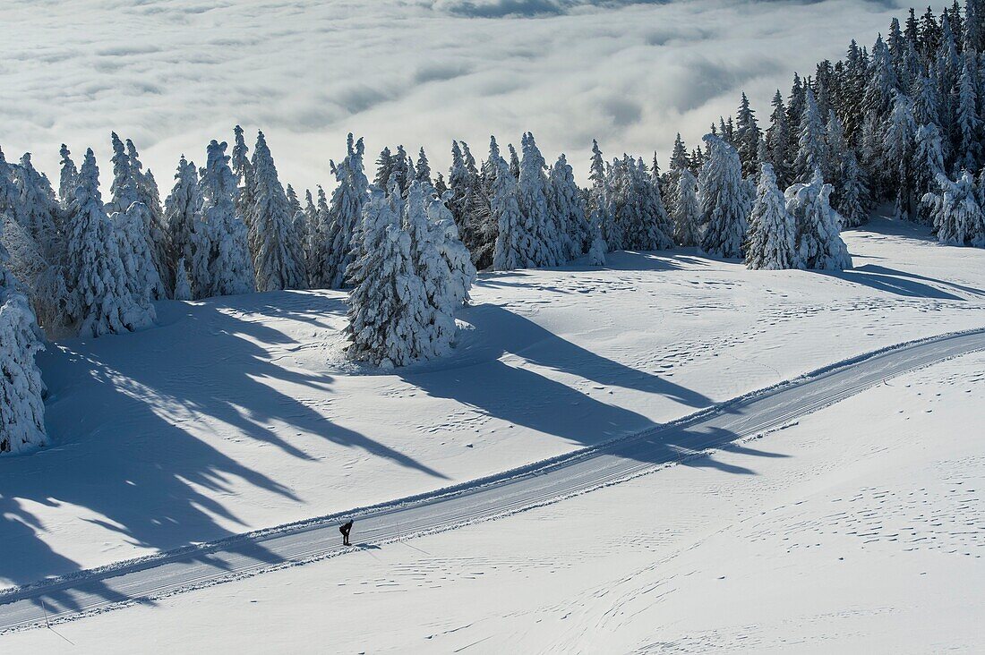 Frankreich, Haute Savoie, massive Bauges, oberhalb von Annecy Grenze zur Savoie, das Semnoz Plateau außergewöhnlicher Aussichtspunkt auf die Nordalpen, Langlaufloipen südlich des Plateaus