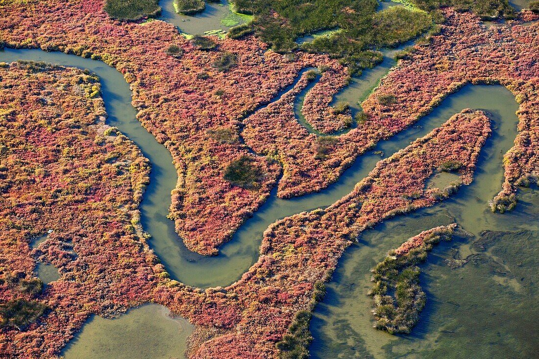 Frankreich, Bouches du Rhone, Regionaler Naturpark Camargue, Port Saint Louis der Rhone, Mündung der Rhone, Sie der Toten (Luftaufnahme)