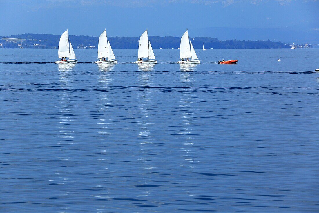 Frankreich, Haute Savoie, Thonon les Bains, Genfer See