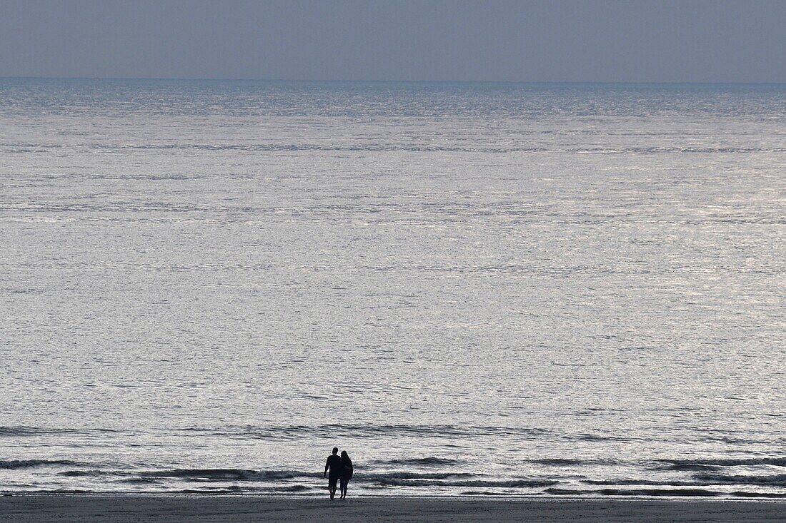 France, Somme, Baie de Somme, couple on the sand against the ocean facing the horizon contemplating the horizon