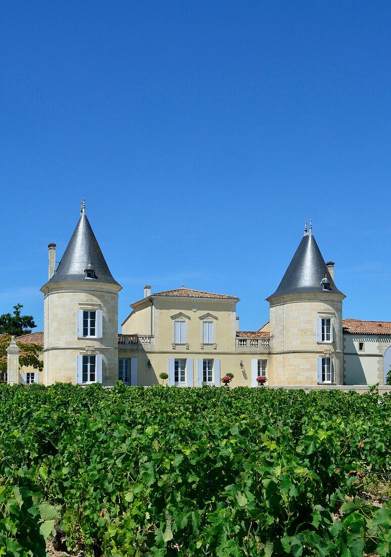 France, Gironde, Saint Estephe, wine castle of Lilian Ladouys