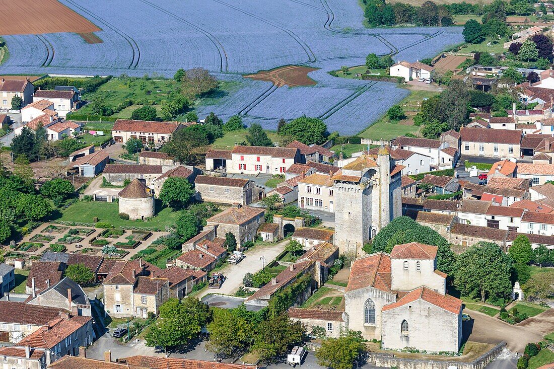 France, Vendee, Bazoges en Pareds, the donjon, the church and the medieval garden before a linen field (aerial view)