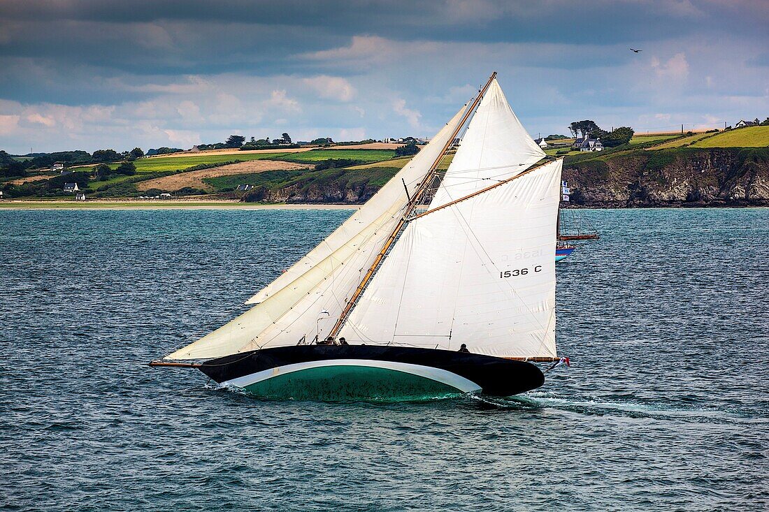 France, Finistere, Douarnenez, Festival Maritime Temps Fête, Pen Duick, traditional sailboat on the port of Rosmeur