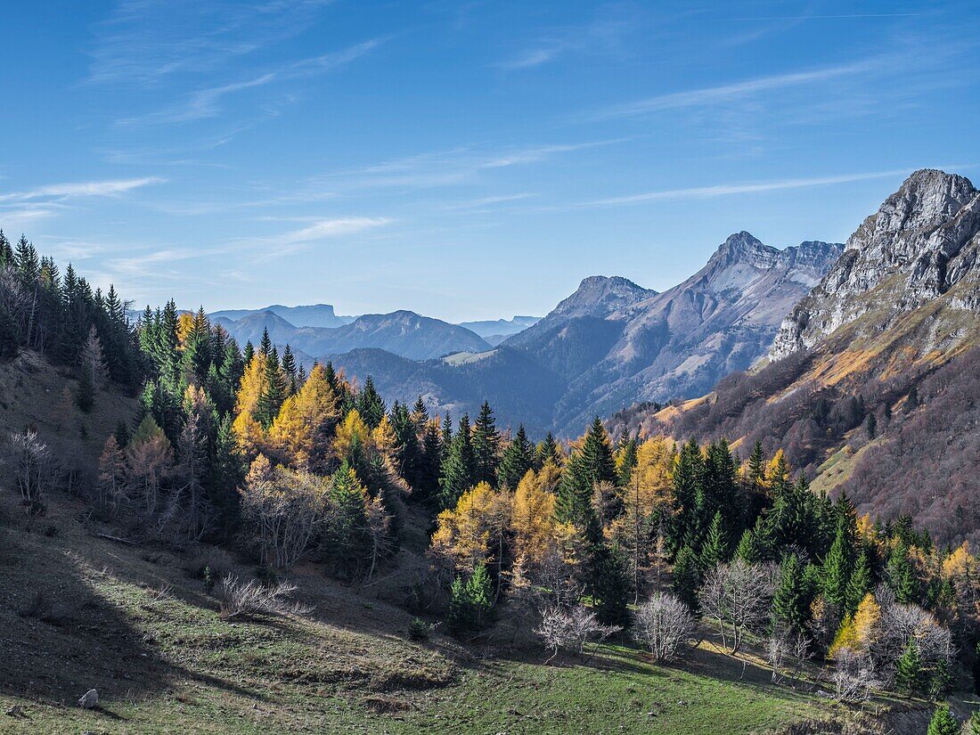 France, Haute Savoie, Bauges Natural Regional Park, view from Col de la Frasse surroundings