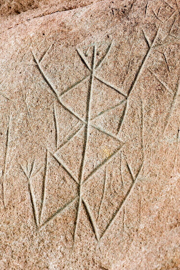 Frankreich, Französisch-Guayana, Kourou, Zentrum für indianische Archäologie von Kourou, Gravierte Felsen von Carapa, Petroglyphen