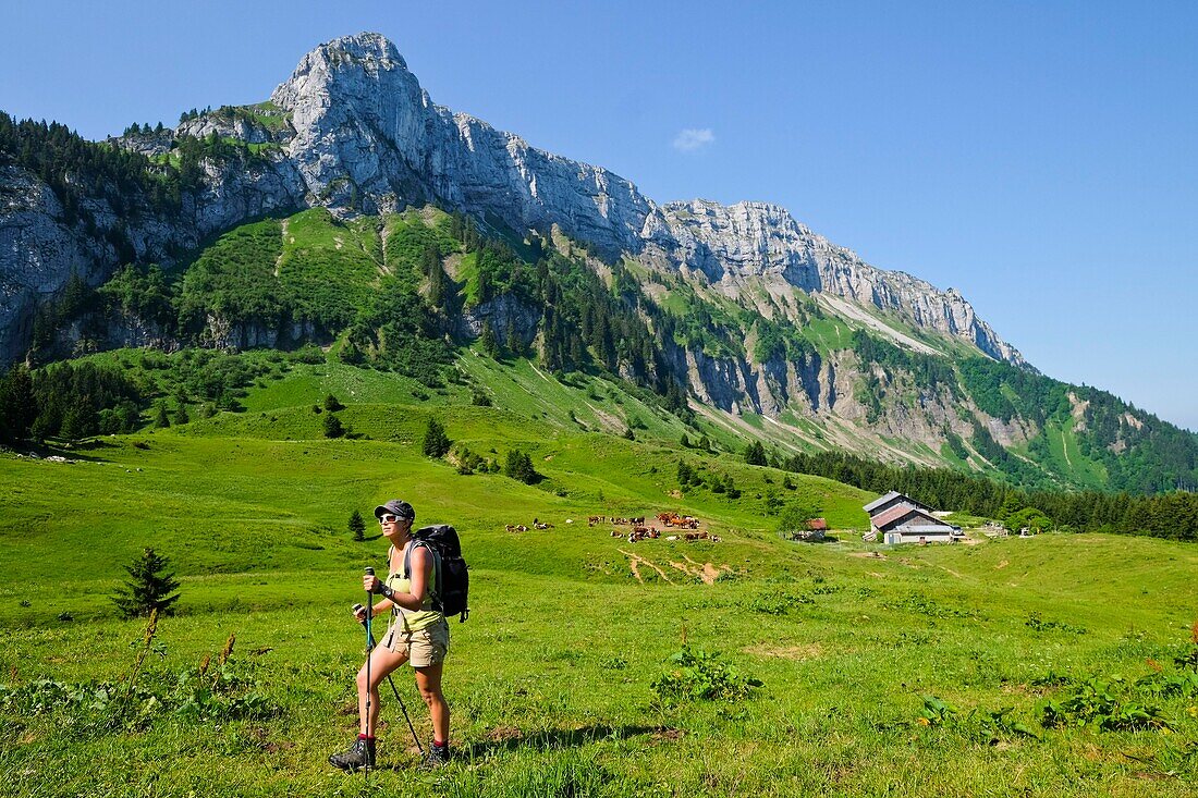 Frankreich, Hochsavoyen, La Roche-sur-Foron, Balme-Chalet und Sous-Dine-Massiv