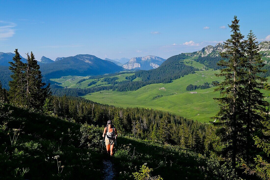 Frankreich, Haute Savoie, Le La Balme de Thuy, Blick auf die Hochebene von Glières von Tête Noire aus