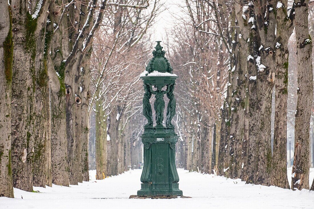 France, Paris, counter alley of the Champs Elysees, a Wallace fountain under the snow