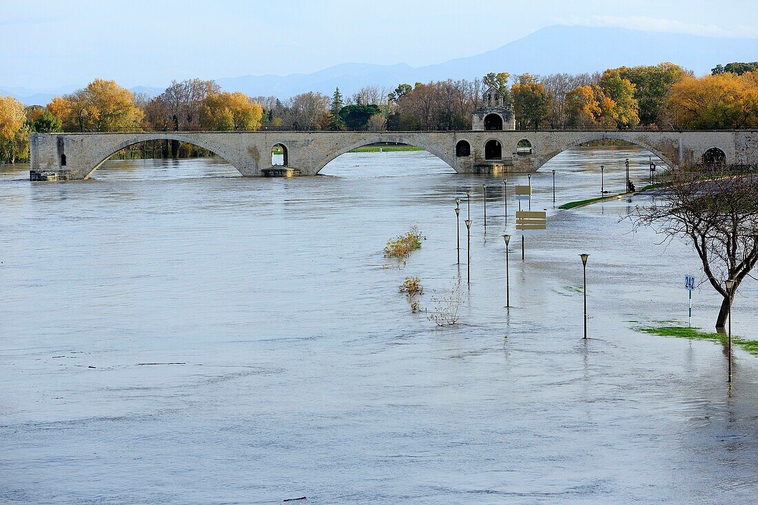 France, Vaucluse, Avignon, boulevard of the Rhone, the bridge Saint Benezet (XII), classified World Heritage of UNESCO, on the Rhone in flood on 23/11/2016