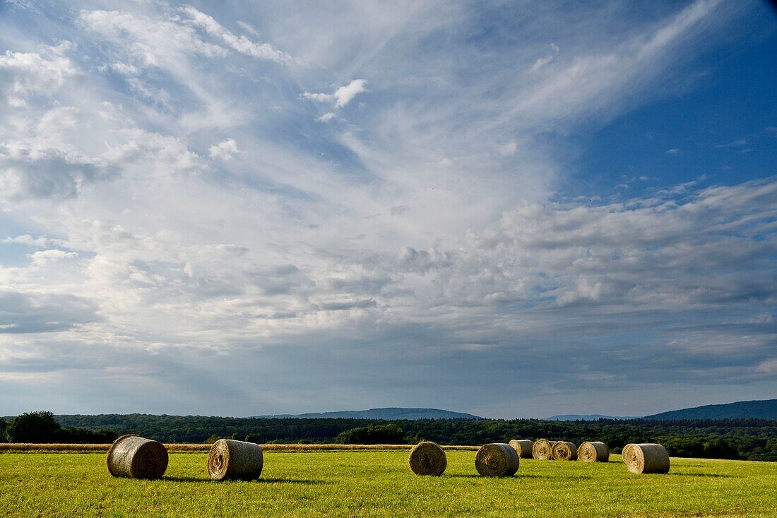 France, Doubs, Ecot, plateau, bales of hay