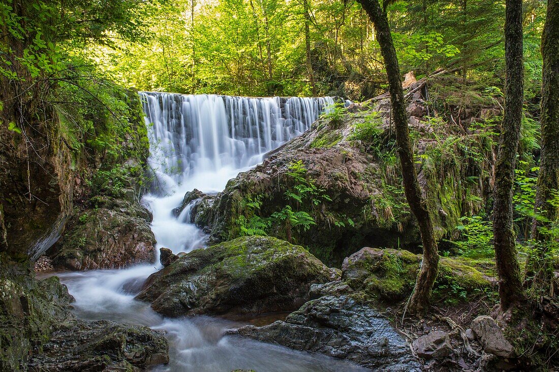 France, Haute Saone, Melisey, les milles etangs, waterfall on the river Dou de l'Eau near Servance